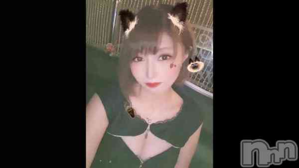 &#x1F431;