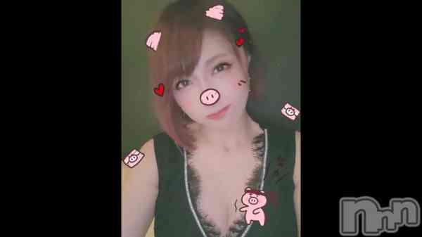 &#x1F437;