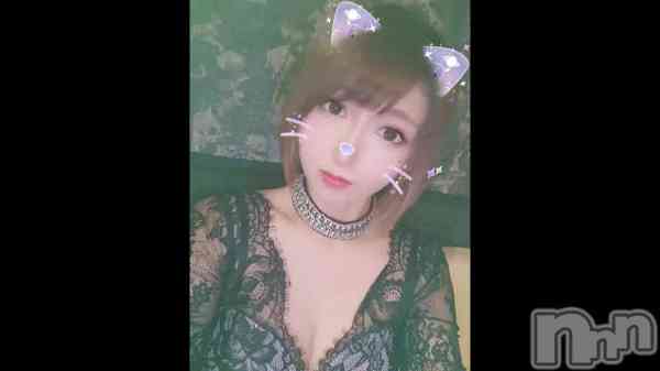&#x1F408;