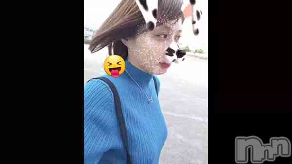 &#x1F436;