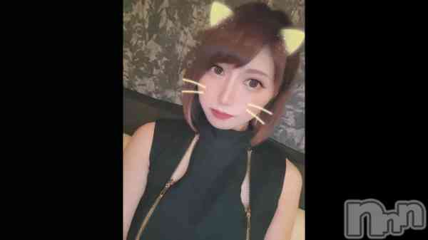 &#x1F431;