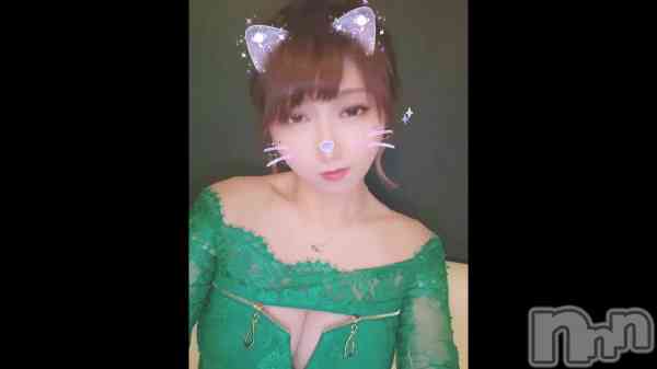 &#x1F431;