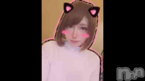 &#x1F431;