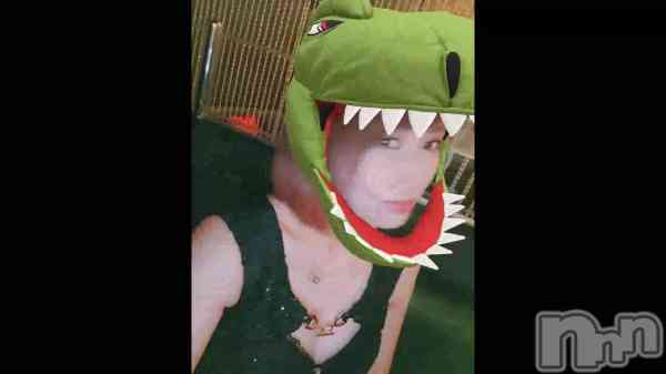 &#x1F996;