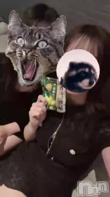 ���㡼����������