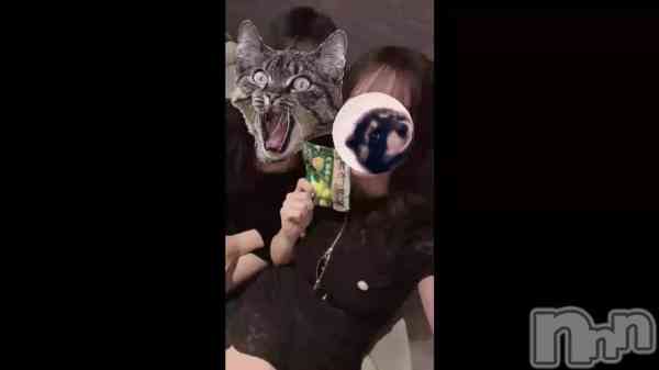 ���֤��㡼������������