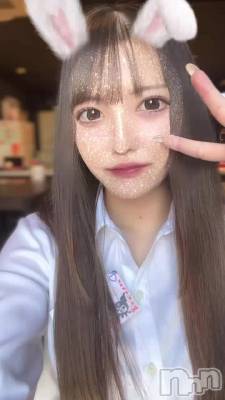 Ф롪ǯϡ
