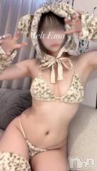 新潟デリヘルMelt(メルト) えま(24)の1月15日写メブログ「🧸次回🈳23:00➰」