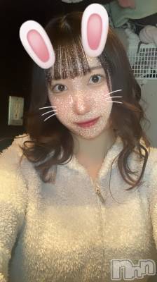 ʥå륺СGirls Bar Philia(륺Сեꥢ) Τ315̥֥֥ե