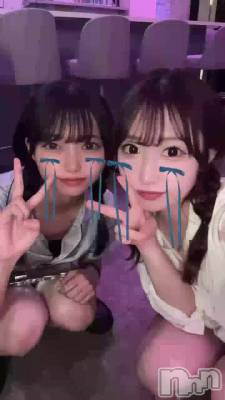 6/6��