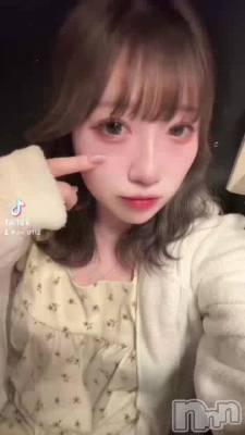 228 0019ʬΥ֥
