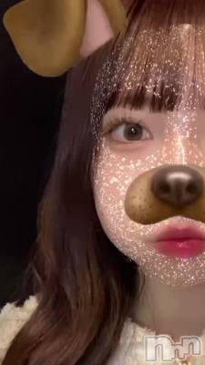 🐶