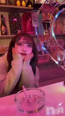 🎡✨️