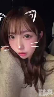 ���뤯��