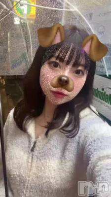 פ֤Ǥ