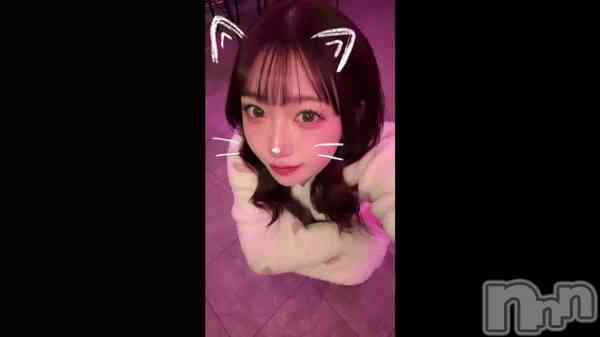 �ֳ�������������