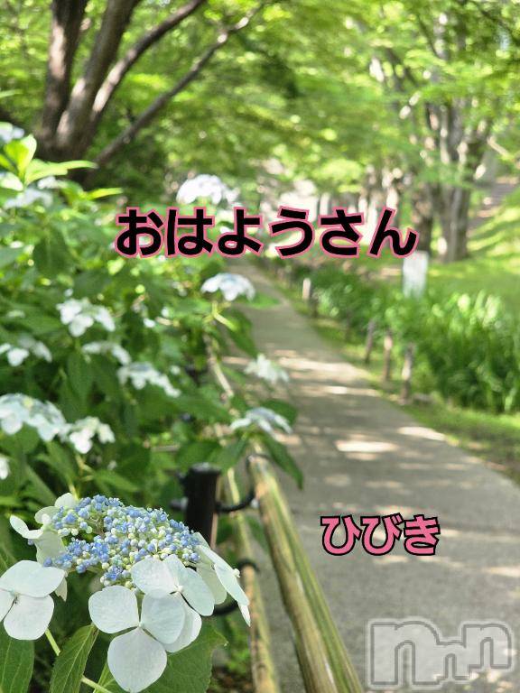 上田発人妻デリヘル人妻華道 上田店(ヒトヅマハナミチウエダテン) 【熟女】ひびき(45)の6月21日写メブログ「おはようさん」