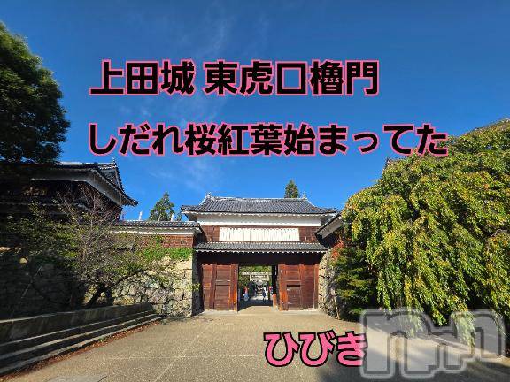 上田発デリヘル人妻華道 上田店(ヒトヅマハナミチウエダテン) 【熟女】ひびき(45)の9月28日写メブログ「紅葉始まってたよ」