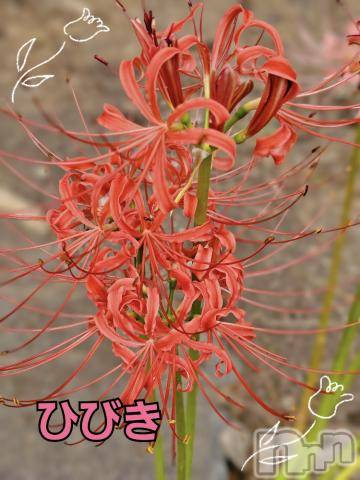 上田発デリヘル人妻華道 上田店(ヒトヅマハナミチウエダテン)【熟女】ひびき(45)の2023年9月20日写メブログ「だんだんと秋」