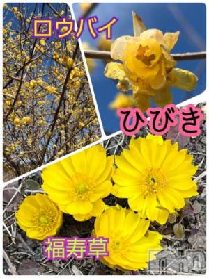 上田発デリヘル 人妻華道 上田店(ヒトヅマハナミチウエダテン) 【熟女】ひびき(45)の2月20日写メブログ「春を、、、、、」