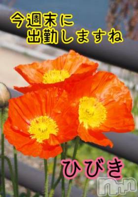 上田発デリヘル 人妻華道 上田店(ヒトヅマハナミチウエダテン) 【熟女】ひびき(48)の5月15日写メブログ「今週末に出勤します」