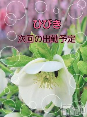 上田発デリヘル 人妻華道 上田店(ヒトヅマハナミチウエダテン) 【熟女】ひびき(45)の3月10日写メブログ「次回の出勤です」