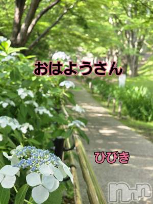 上田発人妻デリヘル 人妻華道 上田店(ヒトヅマハナミチウエダテン) 【熟女】ひびき(45)の6月21日写メブログ「おはようさん」