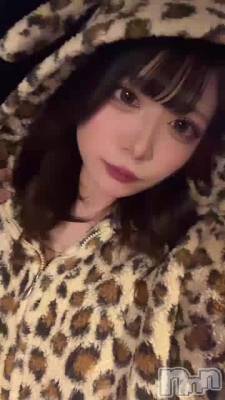 1020 2041ʬΥ֥