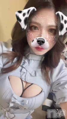 🐶
