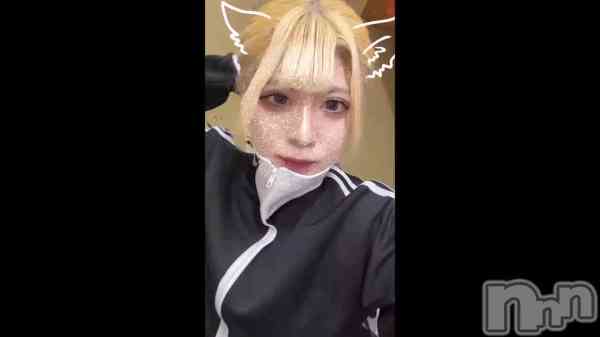 ֥ݥˡơ롪