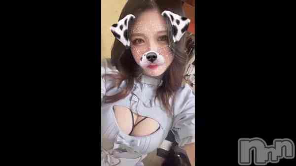 ֤&#x1F436;