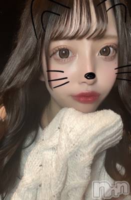 (ҥߥ) Ĺҥߥġʥå륺С Girls Bar Philia(륺Сեꥢ)ҡ