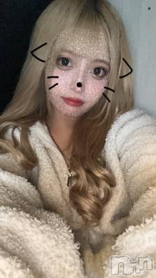 ʥå륺СGirls Bar Philia(륺Сեꥢ) ʤ611̥֥֤ᶵơ