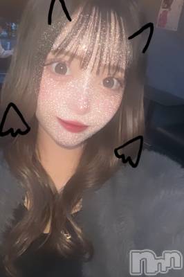 (ҥߥ) Ĺҥߥġʥå륺С Girls Bar Philia(륺Сեꥢ)ҡ
