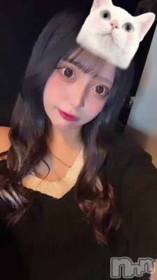 ɤ衼ӡ