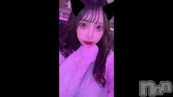 &#x1F431;&#x1F42D;