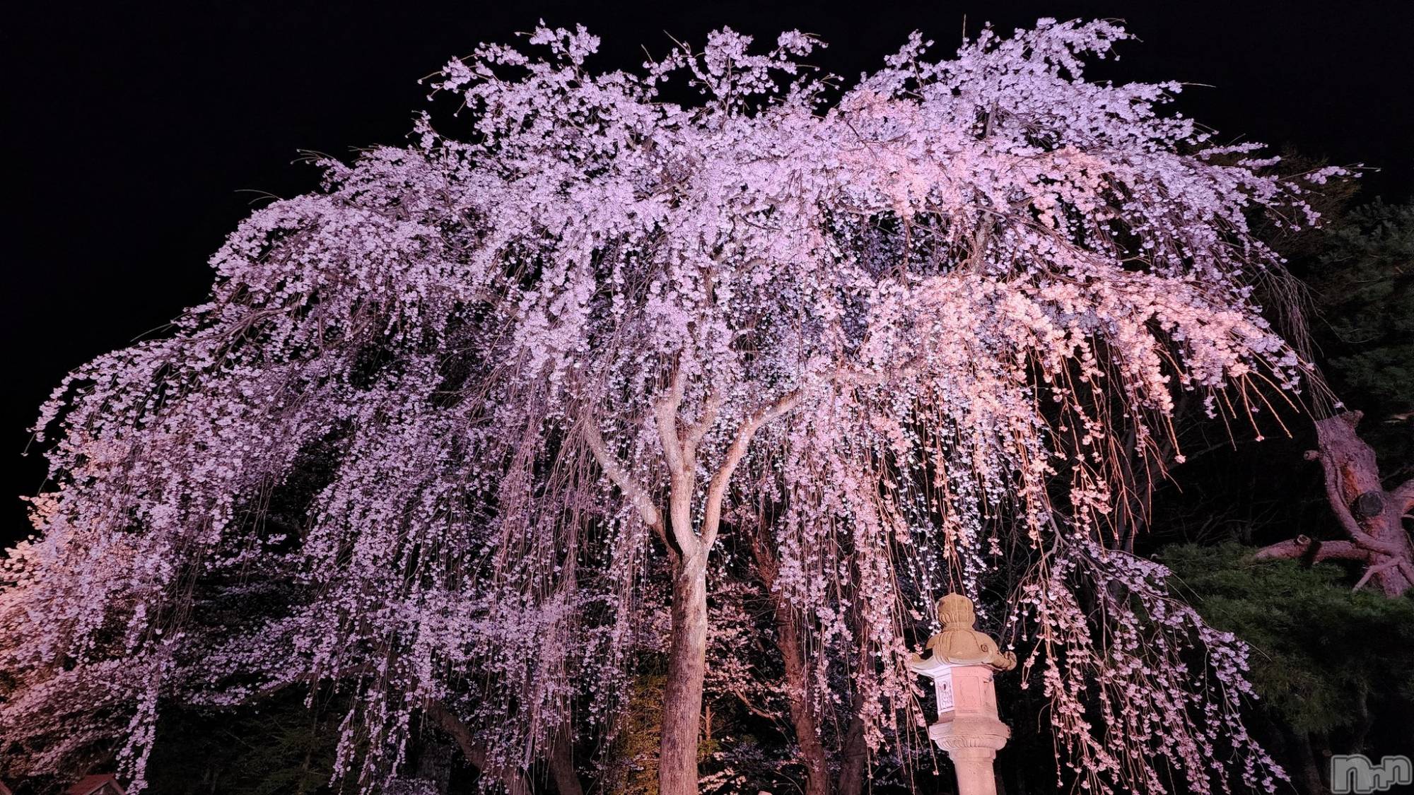 長岡人妻デリヘル長岡人妻市(ナガオカヒトヅマイチ)あいな★小悪魔的なエロさ(30)の2023年4月4日写メブログ「やる気アップ」