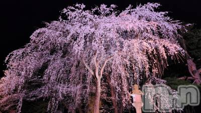 長岡デリヘル 長岡人妻市(ナガオカヒトヅマイチ) あいな★小悪魔的なエロさ(30)の4月4日写メブログ「やる気アップ」