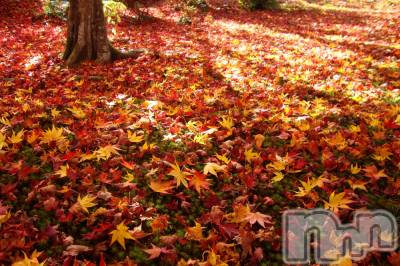 長岡デリヘル 長岡人妻市(ナガオカヒトヅマイチ) あいな★小悪魔的なエロさ(30)の10月31日写メブログ「おはよ」