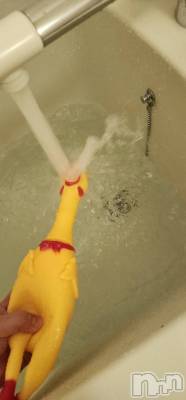 長岡デリヘル 長岡人妻市(ナガオカヒトヅマイチ) あいな★小悪魔的なエロさ(30)の11月4日写メブログ「コパ」