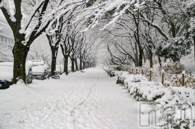 長岡デリヘル 長岡人妻市(ナガオカヒトヅマイチ) あいな★小悪魔的なエロさ(30)の11月24日写メブログ「寒いからって」