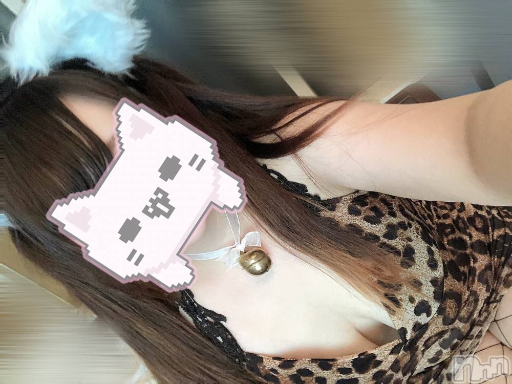 長岡デリヘルばななフレンド(バナナフレンド) りこ(体験入店)(23)の2月22日写メブログ「にゃー🐈🐾」