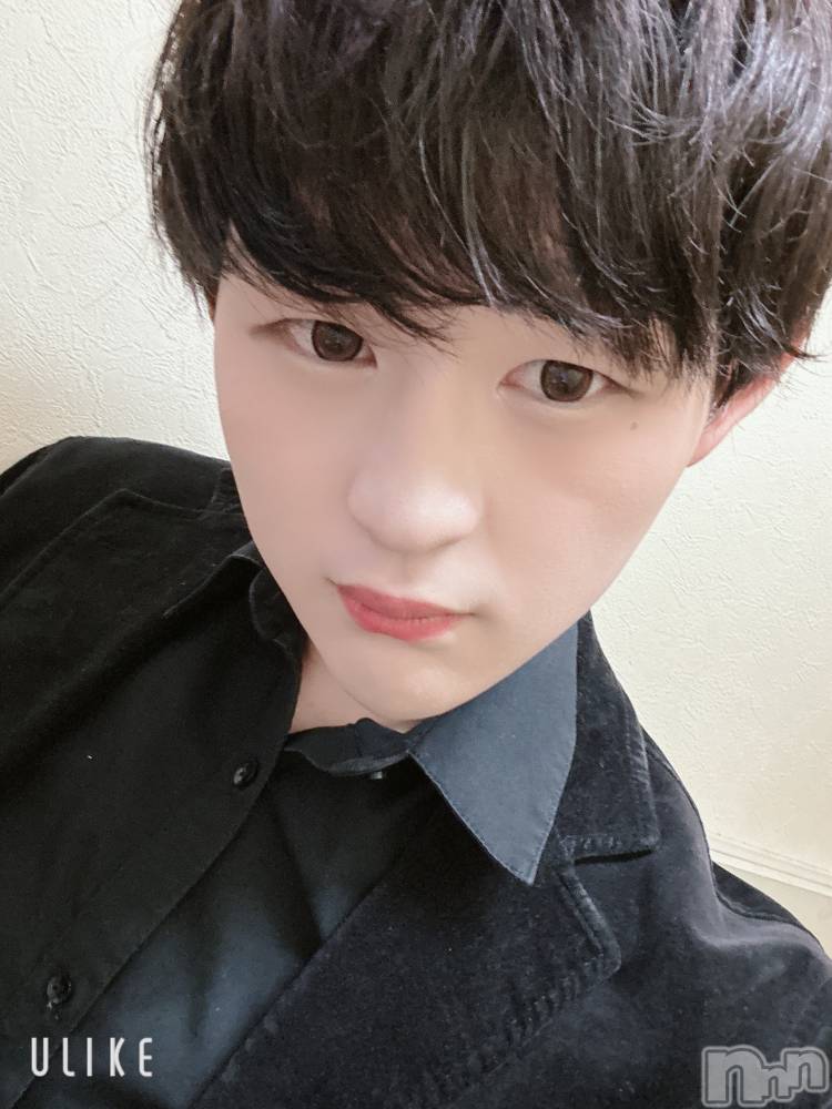 ĮۥȡܡСA151(ݥ) ŷȤդƤ97ֺ̥֥