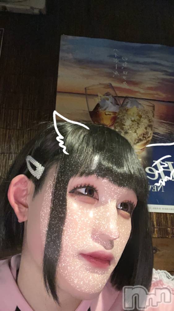 ĮۥȡܡСA151(ݥ) ŷȤդƤ811̥֥ʿ