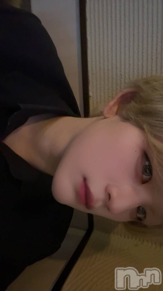 ��Į�ۥ��ȡ��ܡ������С�A151(�����������ݥ���) ŷ�Ȥդ��Ƥ��1��22���̥�֥����ֲ��������Ĥ줤��