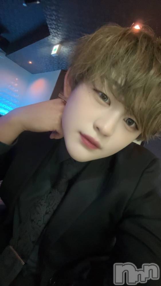 ��Į�ۥ��ȡ��ܡ������С�A151(�����������ݥ���) ŷ�Ȥդ��Ƥ��3��11���̥�֥����֥��������������������