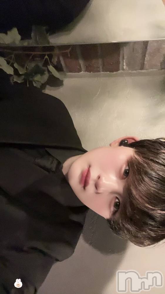 ��Į�ۥ��ȡ��ܡ������С�A151(�����������ݥ���) ŷ�Ȥդ��Ƥ��5��15���̥�֥����ֲ����������