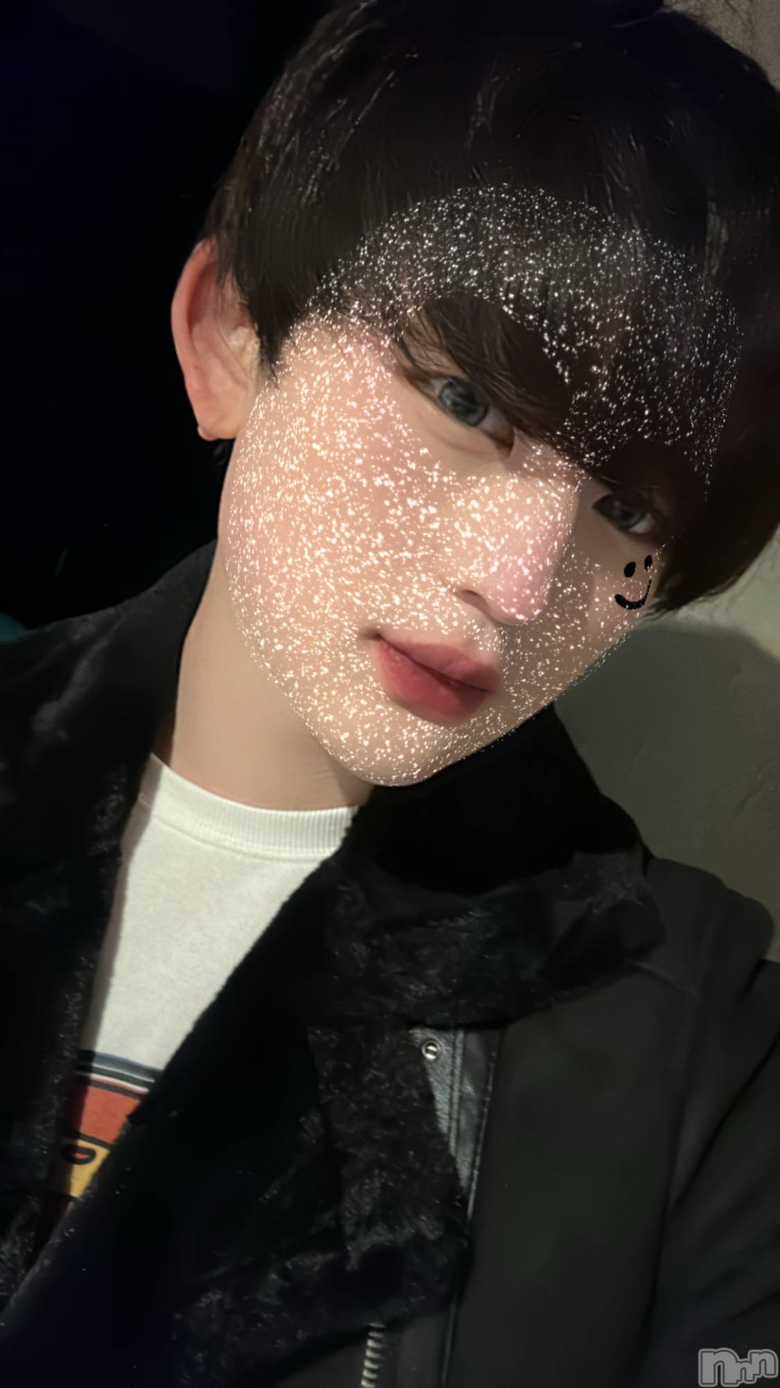 ĮۥȡܡСA151(ݥ) 2024ǯ110̥֥ϡ