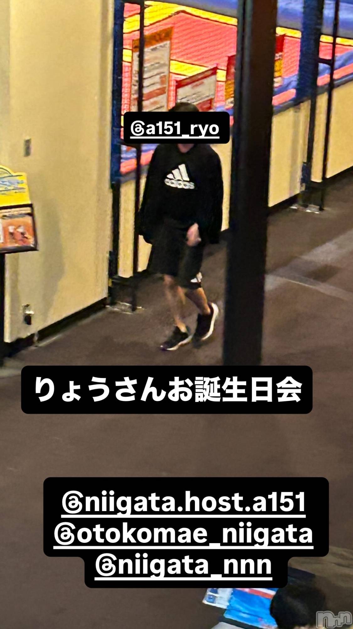 ĮۥȡܡСA151(ݥ) 2025ǯ128̥֥֤