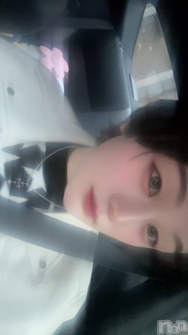 ��Į�ۥ��ȡ��ܡ������С�A151(�����������ݥ���) ��2026ǯ4��15���̥�֥����֤��य�͡���